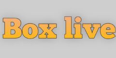 تطبيق Box Live بنخسته الجديدة 2024