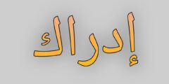 تطبيق إدراك لتعلم لتعلم اللغات والمهارات الجديدة